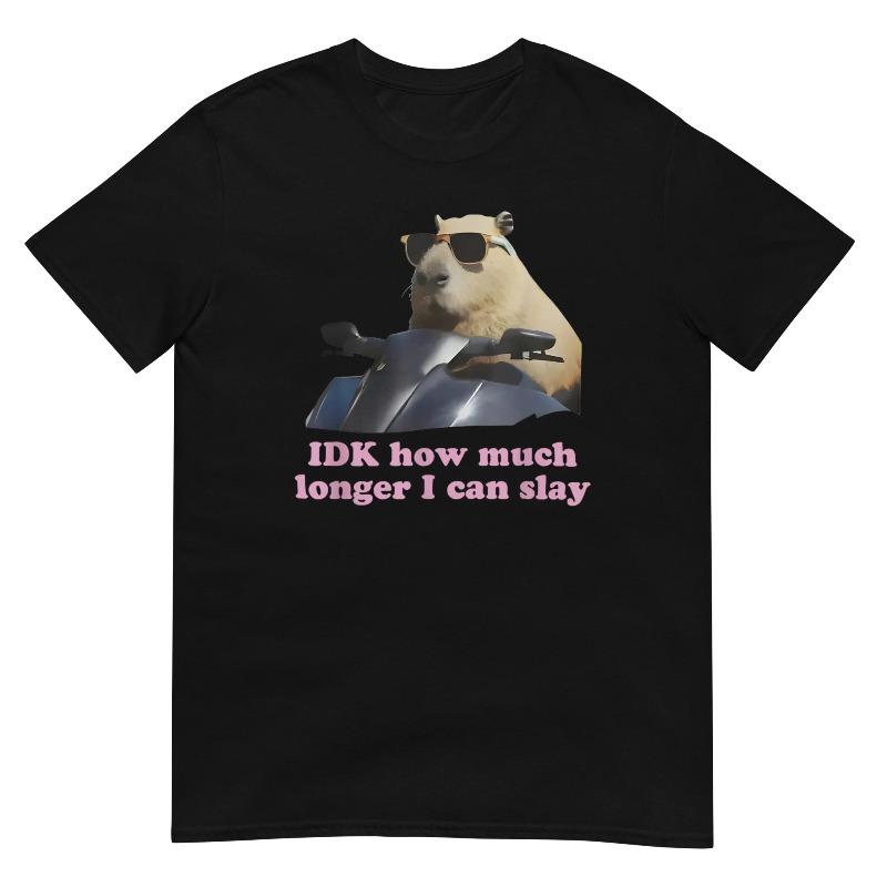 Women Funny Capybara Meme Graphic Soft Tee IDK How Much Longer I Can Slay T Shirt Casual Streetwear Comfortable Female Clothes
