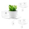 2pcs Clear Acrylic Plant Shelf Wide Suction Cup Window Sill Extender for Indoor Gardens Space-Saving Display Rack