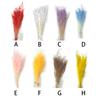 Portable Lightweight Artificial Plant Natural Flowers Cute Lovely Dry Grass Bouquet for Living Room Wedding Home
