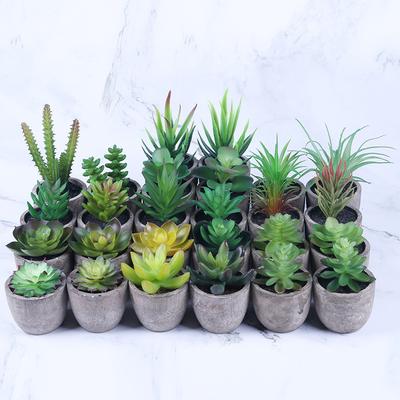 Simulation Succulent Plant Bonsai, Pulp Pot Simulation Plant Decorative Ornament