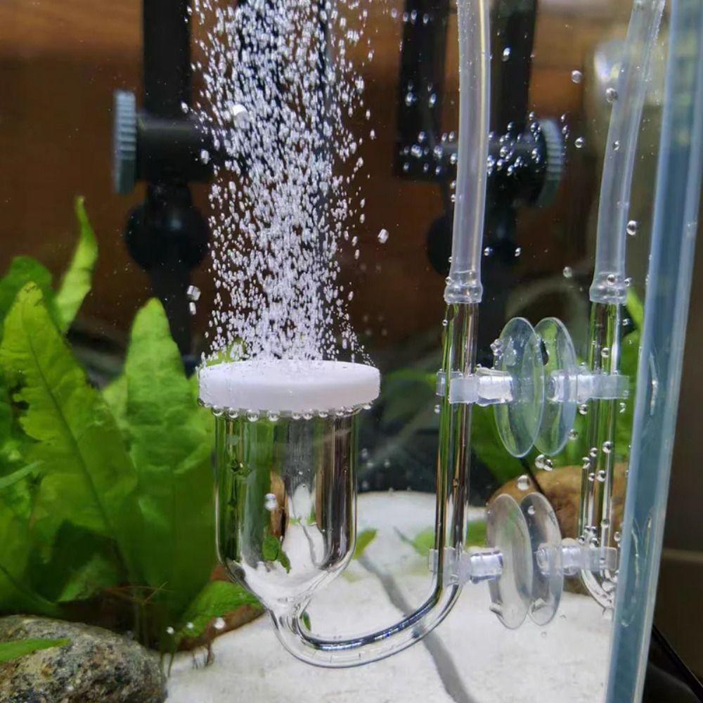 Efficient Oxygenating Transparent CO2 Diffuser Purifier Aquarium Atomizer  Aquarium Use