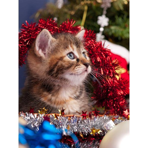 5D Diamond Painting Animal Cat Diamond Embroidery Christmas Cat Cross Stitch Rhinestone Picture Mosaic Set Christmas Home Decor