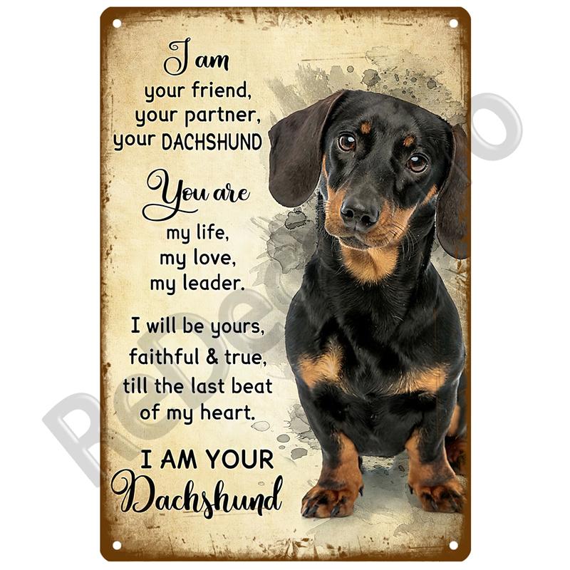 Retro Black Cat Metal Vintage Poster Funny Dog Wall Art Pet Sign Cafe Mural Plaque Metal Sign Tin Sign Plate Bathroom Home Decor