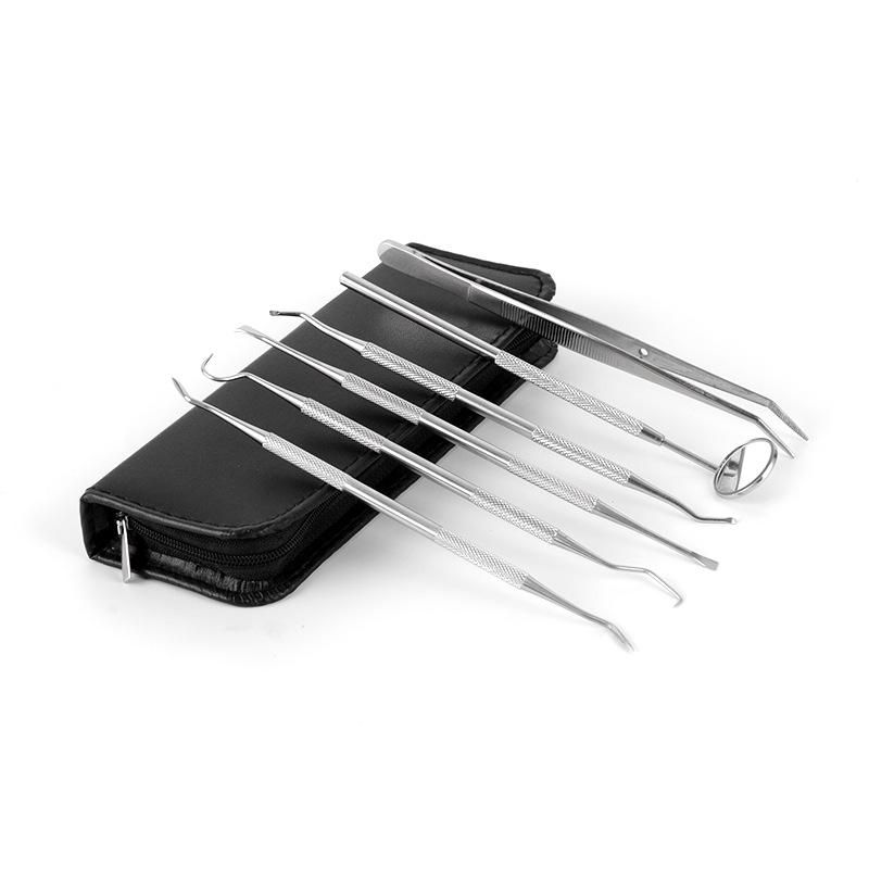 Stainless Steel Dental Tool Set: Endoscope, Toothpick, Calculus & Plaque Remover