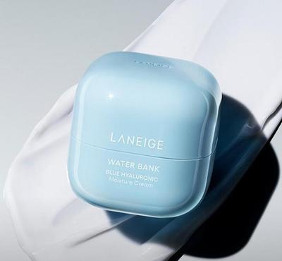 Water Bank Moisture Cream 45ml – Deep Hydration & Skin Barrier Support