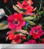 Soimoi Japan Crepe Satin Fabric Leaves & Poppy Flower Print Sewing Fabric Metre 42 Inch