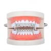 Hot-Selling European & American Hip Hop Halloween Grillz: Chain & Hollow Out Zircon Inlaid Fangs