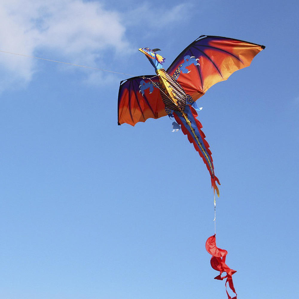 140cm x 120cm Celsius 55 x 47 Inch Dragon Kite Single Line Flying Kite with Tail 100m Flying Line for Kids Adults