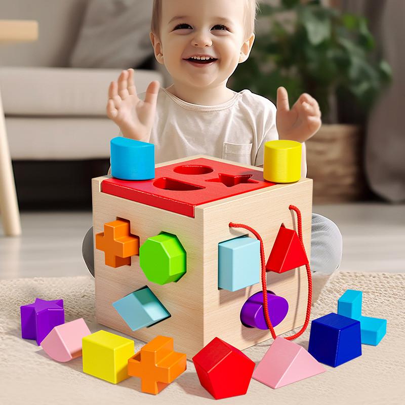 Wooden Shape Matching Puzzle Toy For Kids Educational Playroom Learning