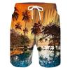 Men's Coconut Tree Graphic Prints Swim Trunks Swim Shorts Board
