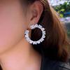 Design Light Luxury High Sense Geometric Circle Zircon Earrings Temperament Show Face Small Earrings Earrings