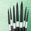 Professional Watercolor Brush Set with Squirrel Hair - Artist Quality, Black Swan Round Tips, Ideal for Beginners & Gouache Artists
