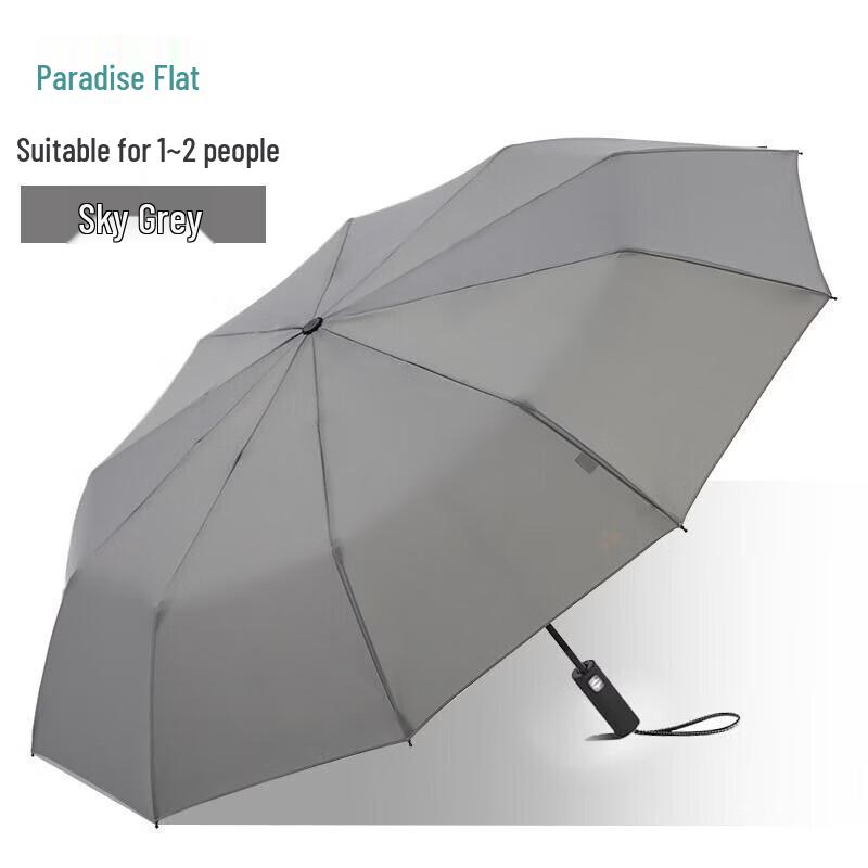 Tiantang Fully Automatic 10-Rib Windproof Business Umbrella