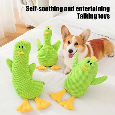 Köpek – Köpek oyuncakları