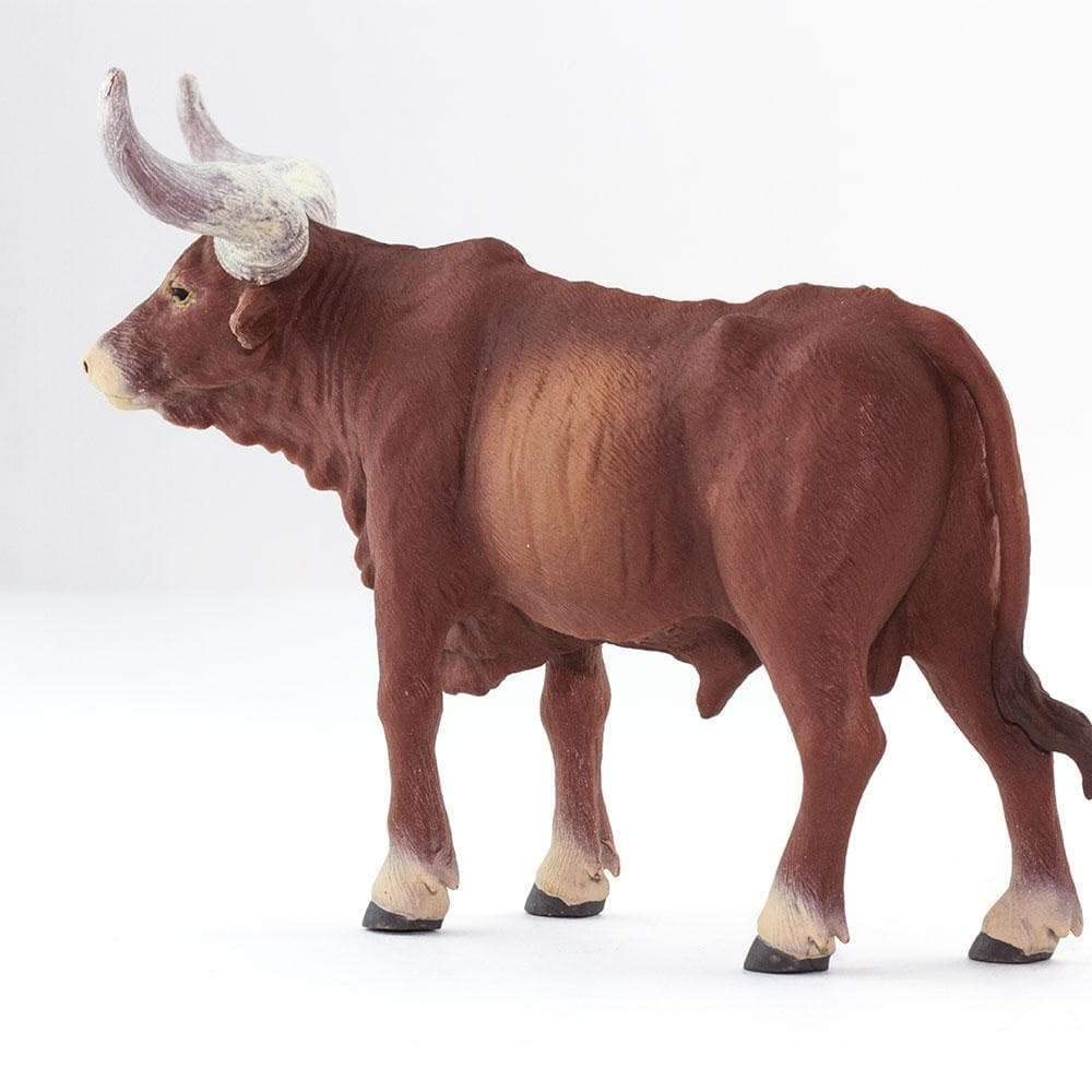 Safari Ankole Watusi Male Cow Figure 100202