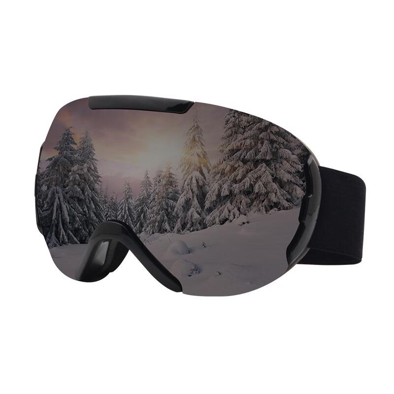 Snow Power Double-Layer Anti-Fog Ski Goggles