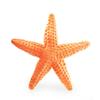 Simulated Jellyfish Fridge Stickers Artificial Marine Animal Models Starfish Sea Anemone Fridge Magnets Children Gifts