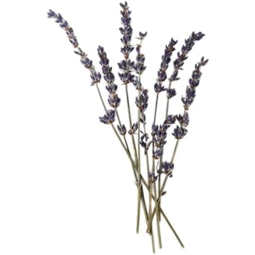 LUSH SHIMMY SHIMMY Moon Powder Mouthwash Toothpaste Tablets for Oral Care, Whitening, Self-Whitening, and Bad Breath Prevention