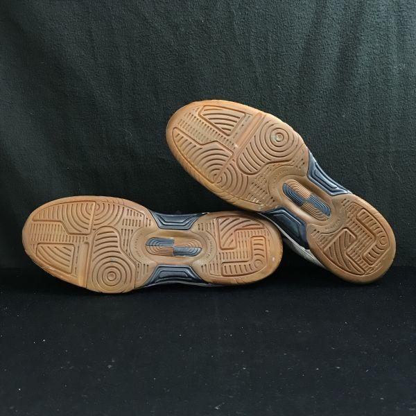 Asics Hallenschuhe für Handball Volleyball Badminton Weiß Größe 29.0cm(GEBRAUCHT)