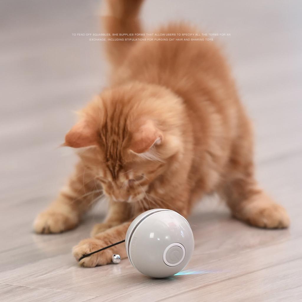 self moving cat ball