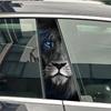 Blaue Augen Löwe Tiger Tier Auto B-Säule Aufkleber Auto Mittel Säule Dekoration Abdeckung Kratzer Wasserdicht Aufkleber Auto Zubehör