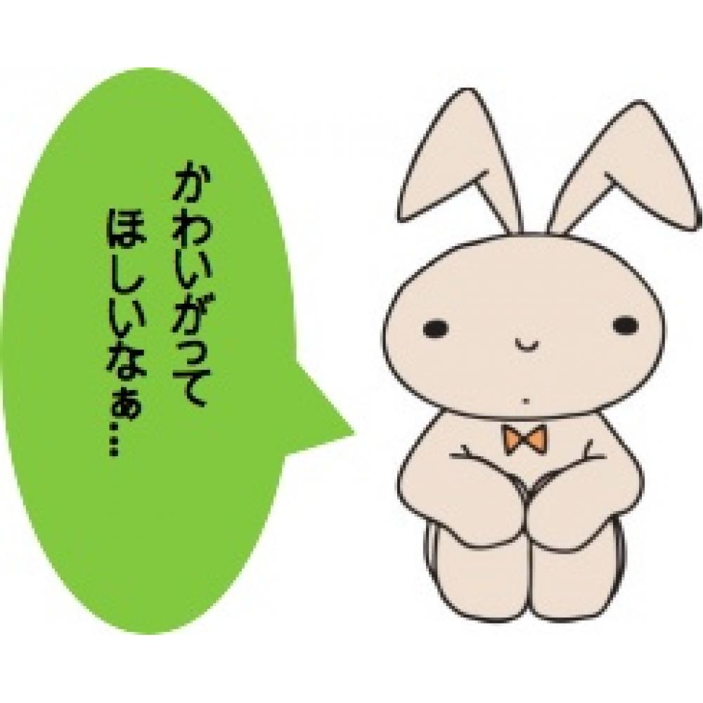 Crayon Shin Chan Crayon Shin Chan  Nene Chan S Rabbit  S 