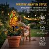 Solar-Powered Outdoor Parrot Stake Light Resin Waterproof Led Parrot Ornament Lamp Decorative for Lawn Backyard Party