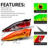 9.5cm Road Bait Boppa Bait 12g Fishing Gear Bait
