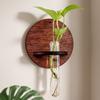 Home Ornaments Wall Mounted Planter Wooden Planter Holder Hydroponic Planter Shelf  Home Decor