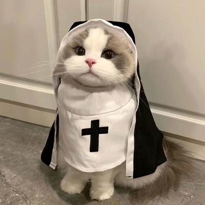 Kedi – Kediler için giyim