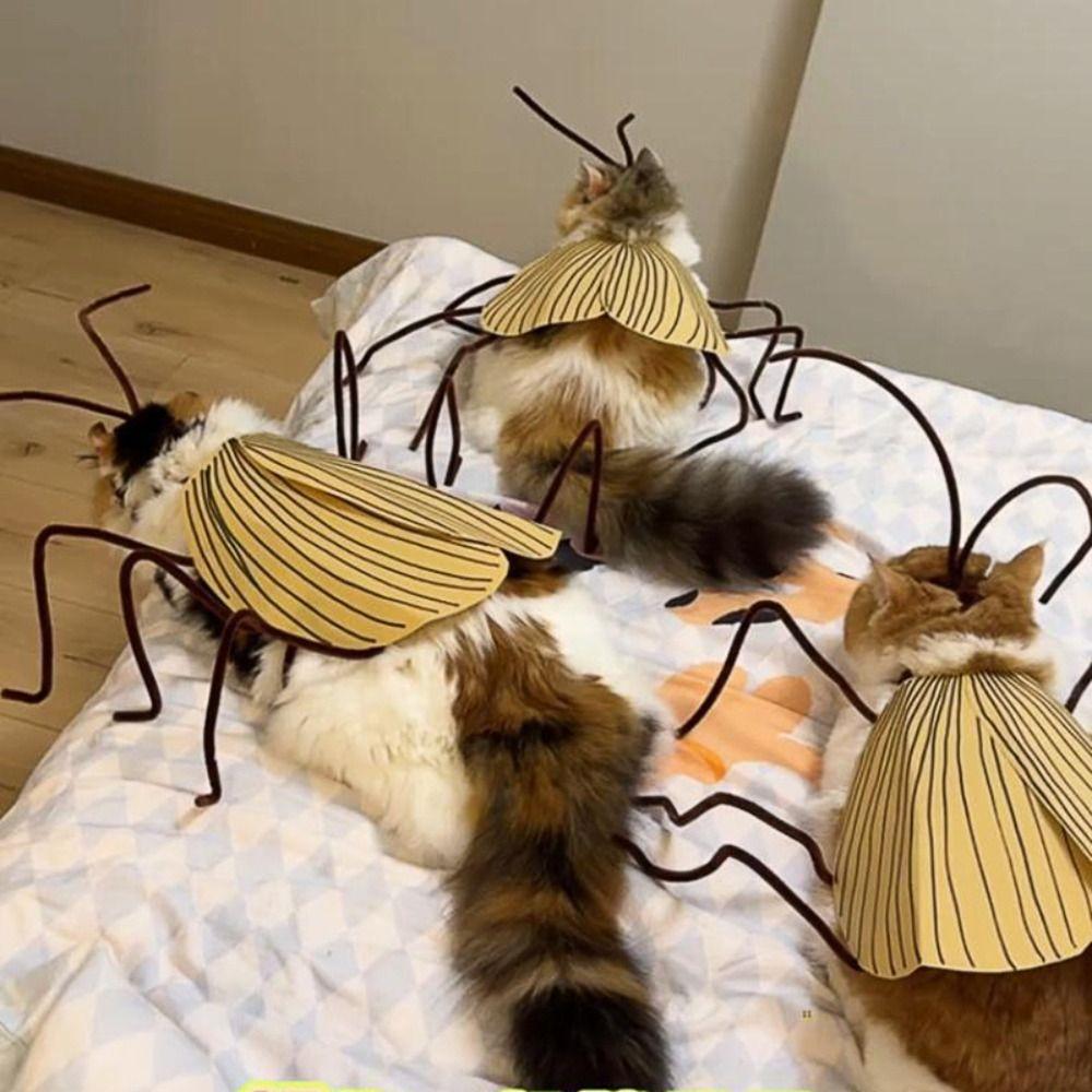 Cartoon Cat Cosplay Cockroach Costume Creative Cat Transformation Costume  Pet Supplies