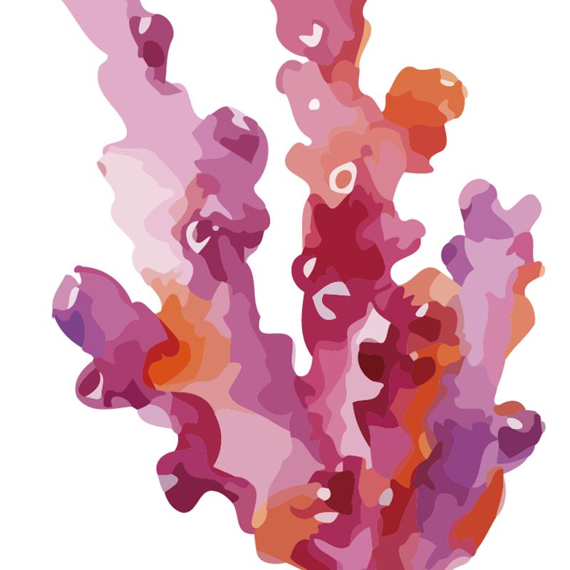 Corals Art Print Wall Pictures Home Decor  , Watercolor Cora Print Wall Art Hanging Bathroom Canvas Painting Nautical Decoration