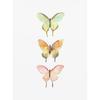 Watercolor Bug Butterflies Moths Poster Print Pastel Insect Canvas Painting Nature Wall Art Picture Nursery Kids Room Decor
