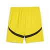Puma Bvb Shorts Replica
