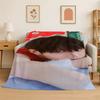 Kpop Bang Chan Stray Kids Musik Flanelldecke Weiche Warme Überwurfdecke für Schlafzimmer Wohnzimmer Bett Reise Camping Picknick Geschenk