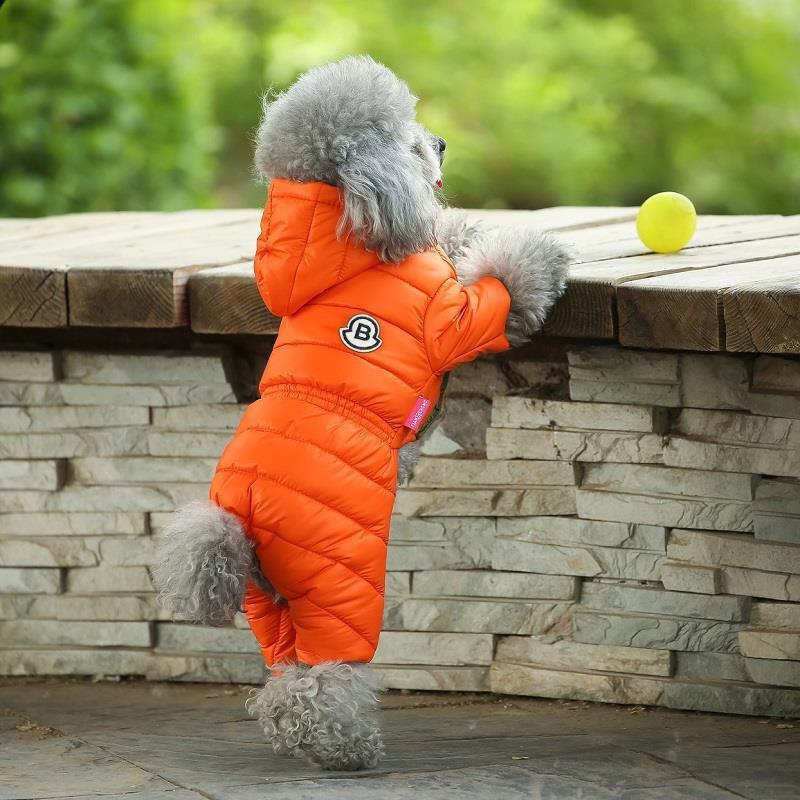 British Style Waterproof Cotton Coat for Small Dogs - Warm Four-Legged Winter Clothing for Pomeranians and Teddy Breeds