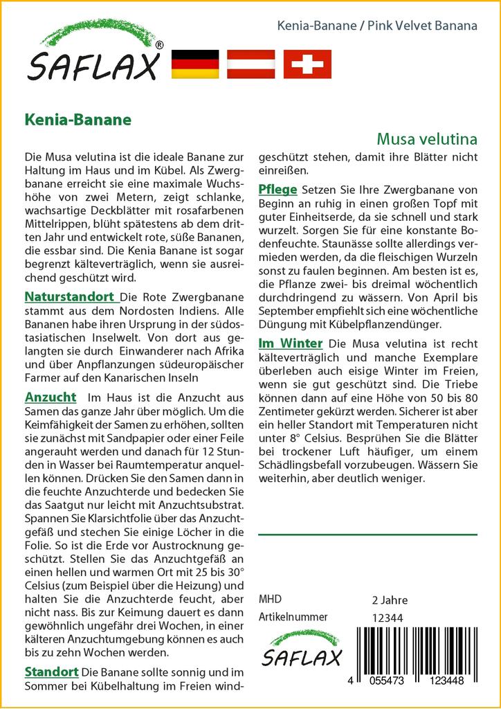 SAFLAX Gift Set - Pink Velvet Banana - 8 Seeds - With Gift Box, Card, Label and Potting Substrate - Musa Velutina