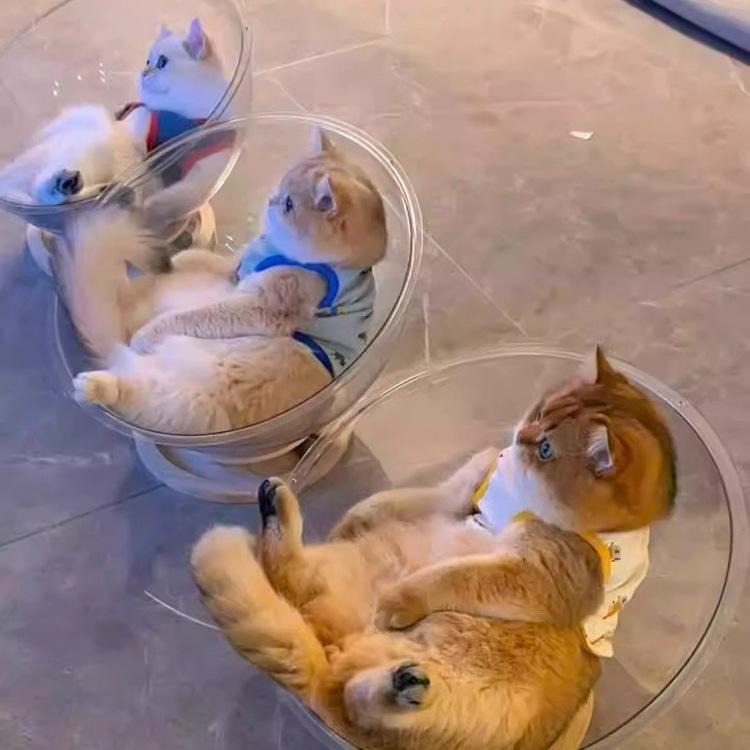 Klar rymdkapsel kattbädd - Kattunge sov- och leksak för alla säsonger
