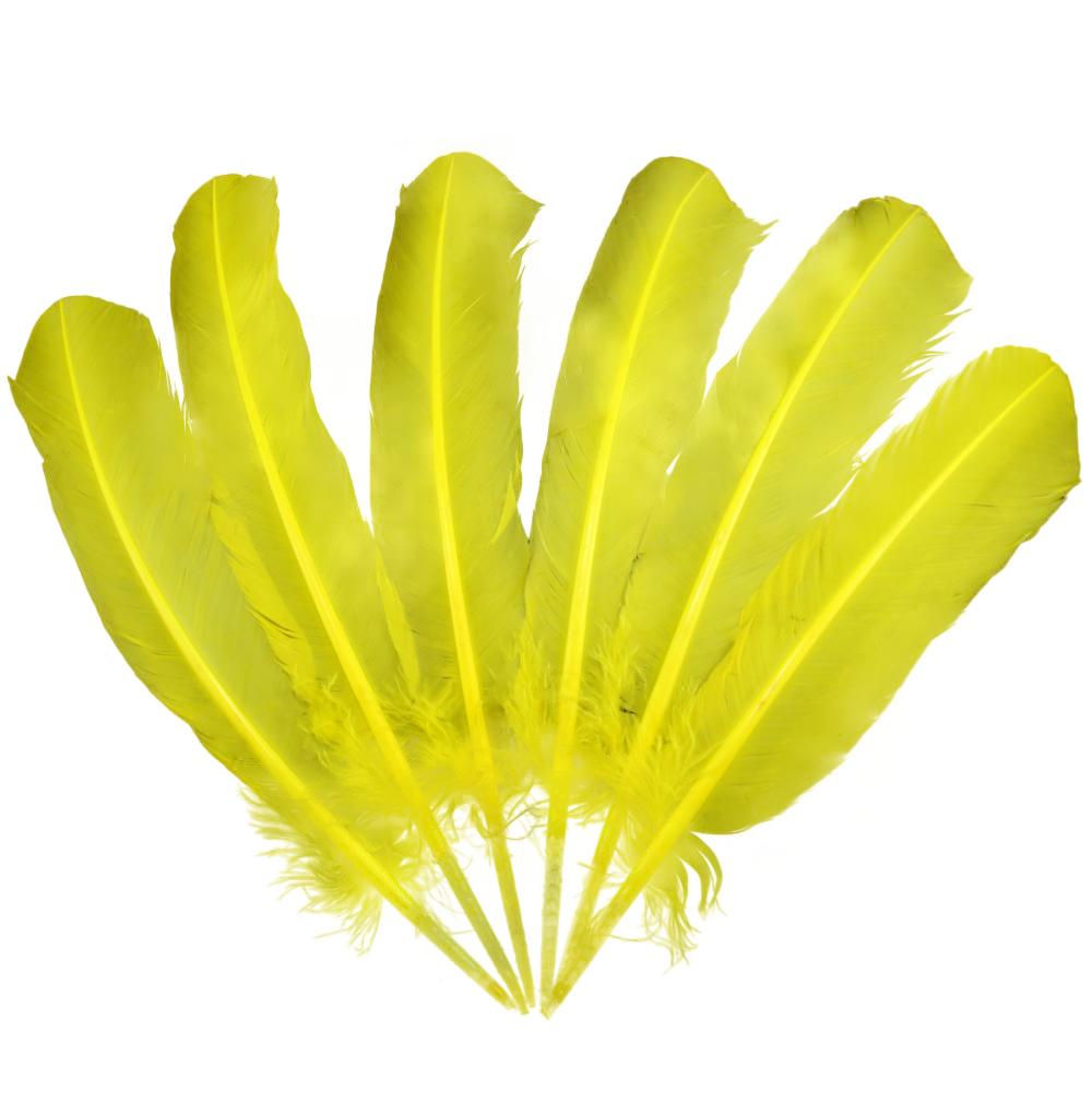 FeatherYellow Feathers for Crafts, 31 Styles Natural Pheasant, Rooster, Duck Feathers Bulk for Costume DIY, Fly Tying,Party Decoration