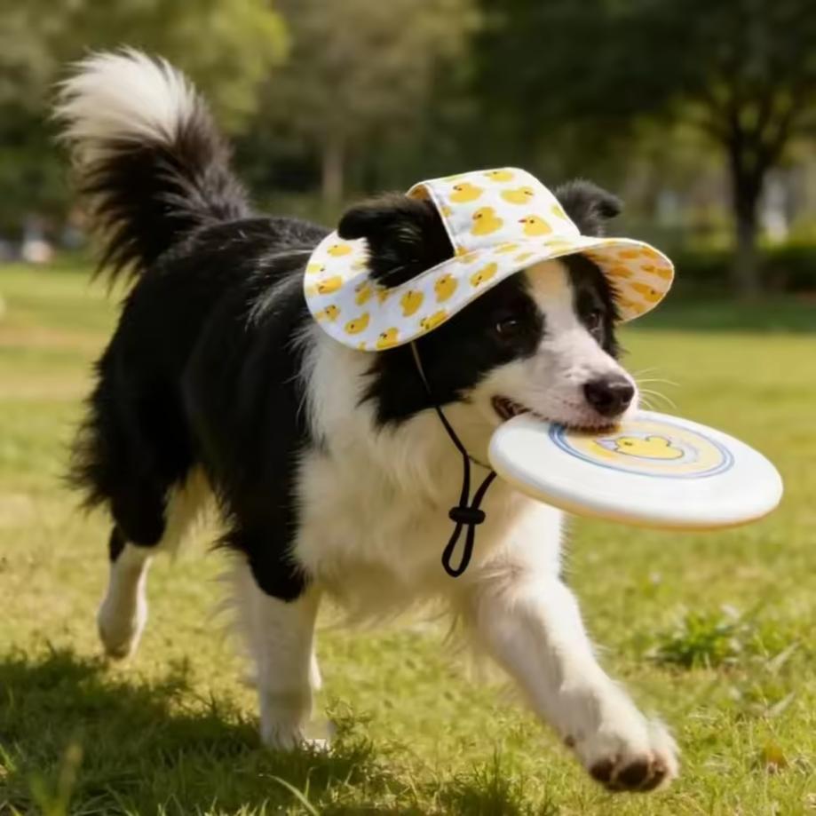 G62 Adjustable Pet Sun Hat with Chin Strap for Small Medium Dogs Cats Outdoor Travel Accessory Gift for Pet Owners