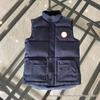 Unisex ärmellose Stehkragen Daunenweste Jacke - Weiße Entendaune Paarstil