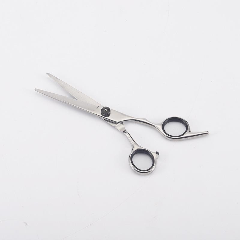 Stainless Steel Barber & Hairdressing Scissors Set: Flat Tooth & Thinning Options