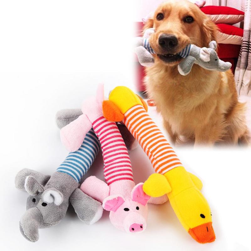 Haustier Hund Spielzeug Welpen Kauen Quietsche quietschende Quietschen Schwein Spielzeug für Hunde: : Haustier