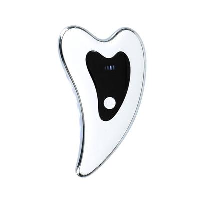 Masseur Électrique de Soin pour le Visage