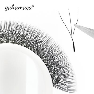 GAHAMACA W Lashes 3D předpřipravené objemové vějíře Potřeby pro prodloužení řas Přírodní umělé norkové individuální řasy