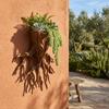 Decorative Hanging Flower Pot Tree Root Shape Plant Container Wall Decoration  Office Decor