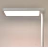 UOSULED Full-Spectrum LED Floor Study Lamp