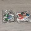 Pokemon Metal Charm