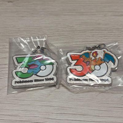 Pokemon Metal Charm