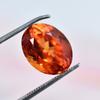 Extremely Rare 7.85 Ct Natural Orange Sapphire   Oval Cut Loose Gemstone